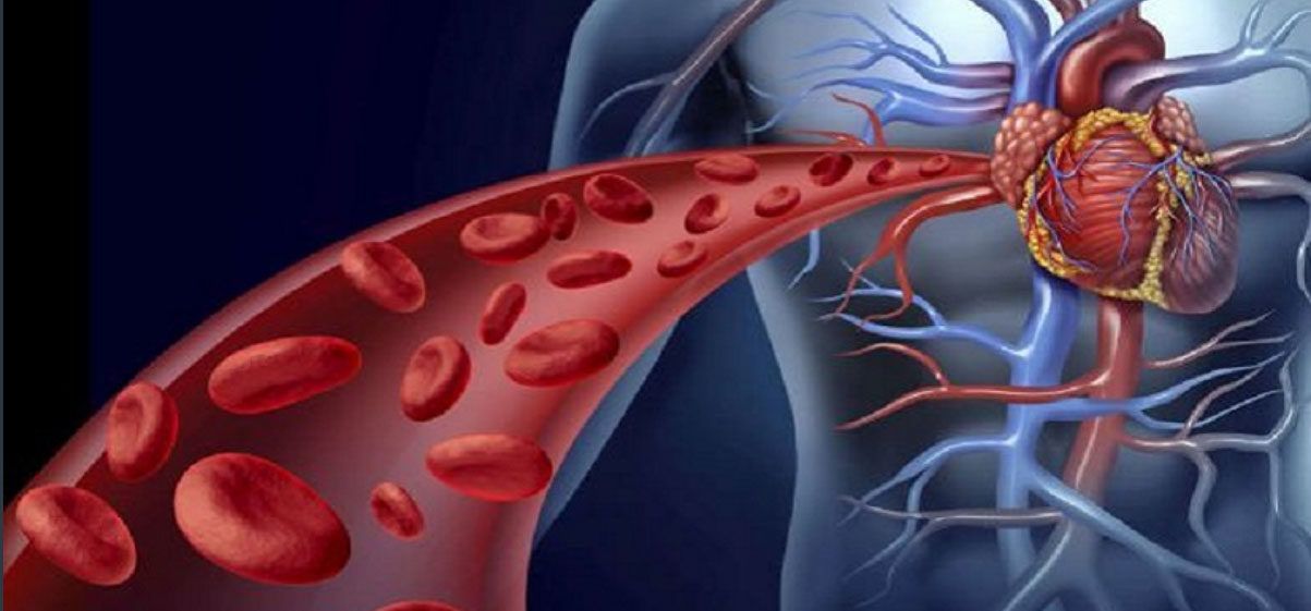 گردش خون و بیماری های مربوط به آن