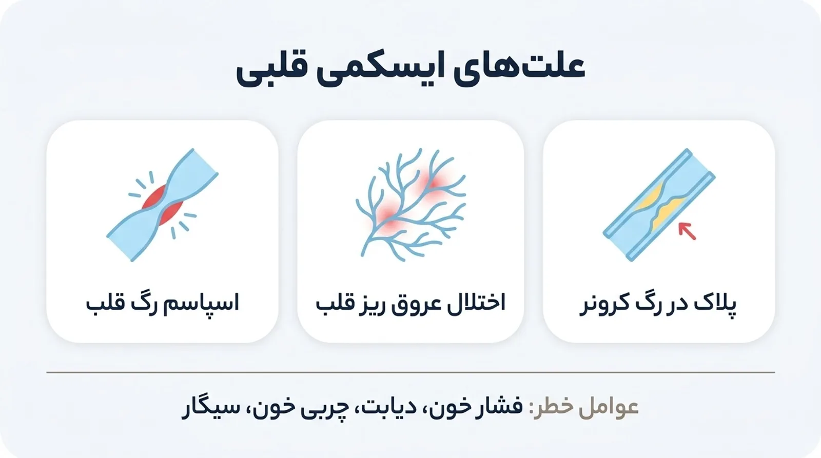 علت‌های ایسکمی قلبی: پلاک در رگ کرونر، اختلال عروق ریز قلب، اسپاسم رگ قلب؛ عوامل خطر فشار خون، دیابت، چربی خون، سیگار