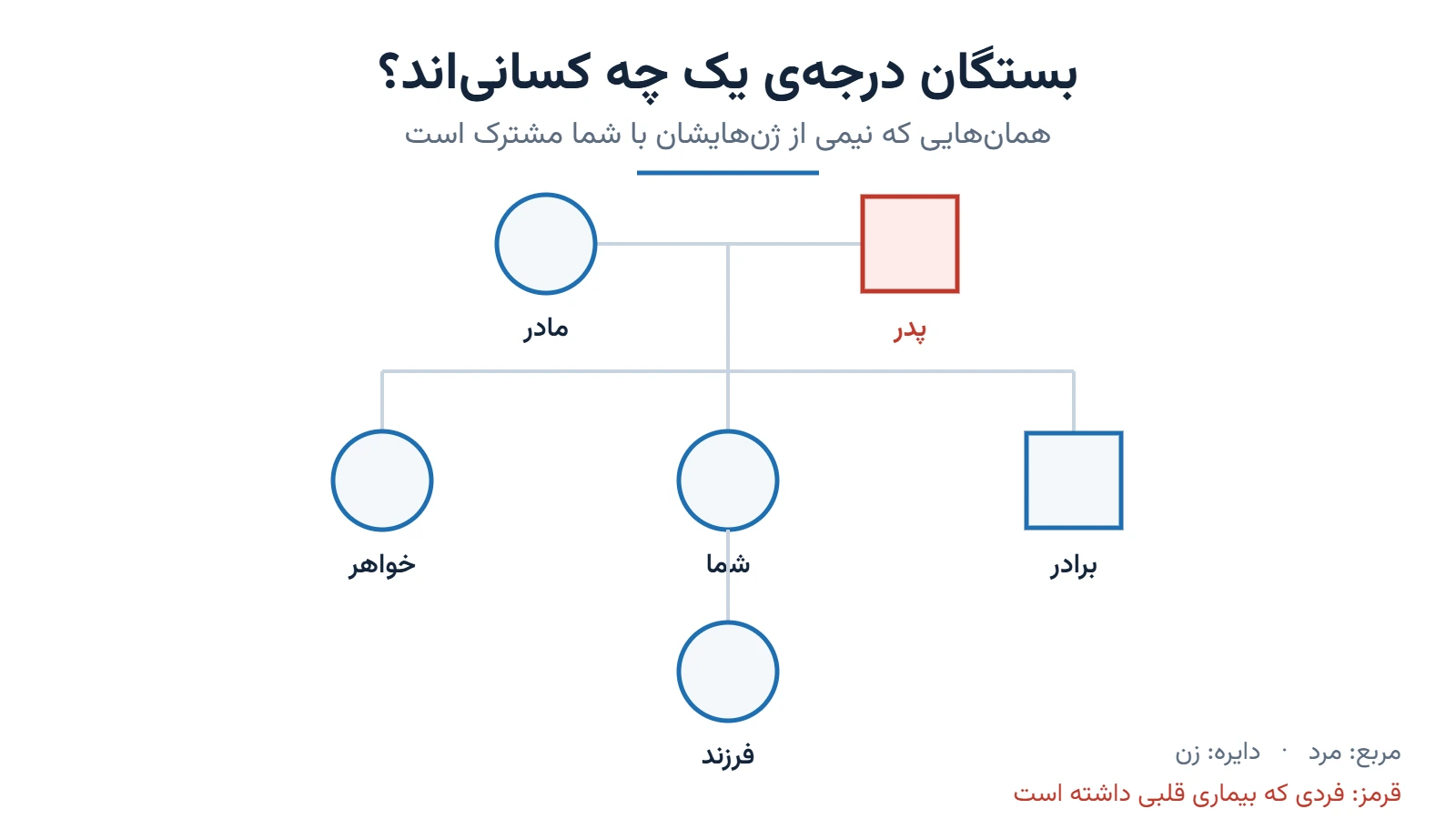 شجره‌نامه‌ی ساده: پدر با رنگ قرمز فردِ بیمار است و مادر، برادر، خواهر و فرزند، بستگان درجه‌ی یک‌اند که در گروه غربالگری قرار می‌گیرند